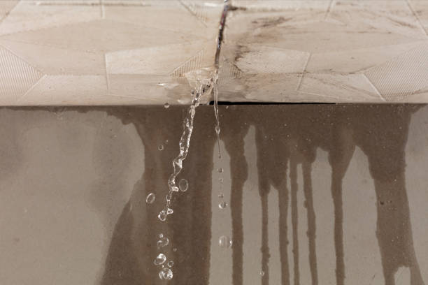 Professional Water Damage Repair technician working in Lopez Island, WA
